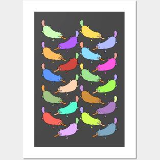 Cute and Colorful Cartoon Platypus Pattern Posters and Art